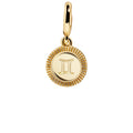 Zodiac Cluster Charm - Gemini