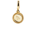 Zodiac Cluster Charm - Capricorn