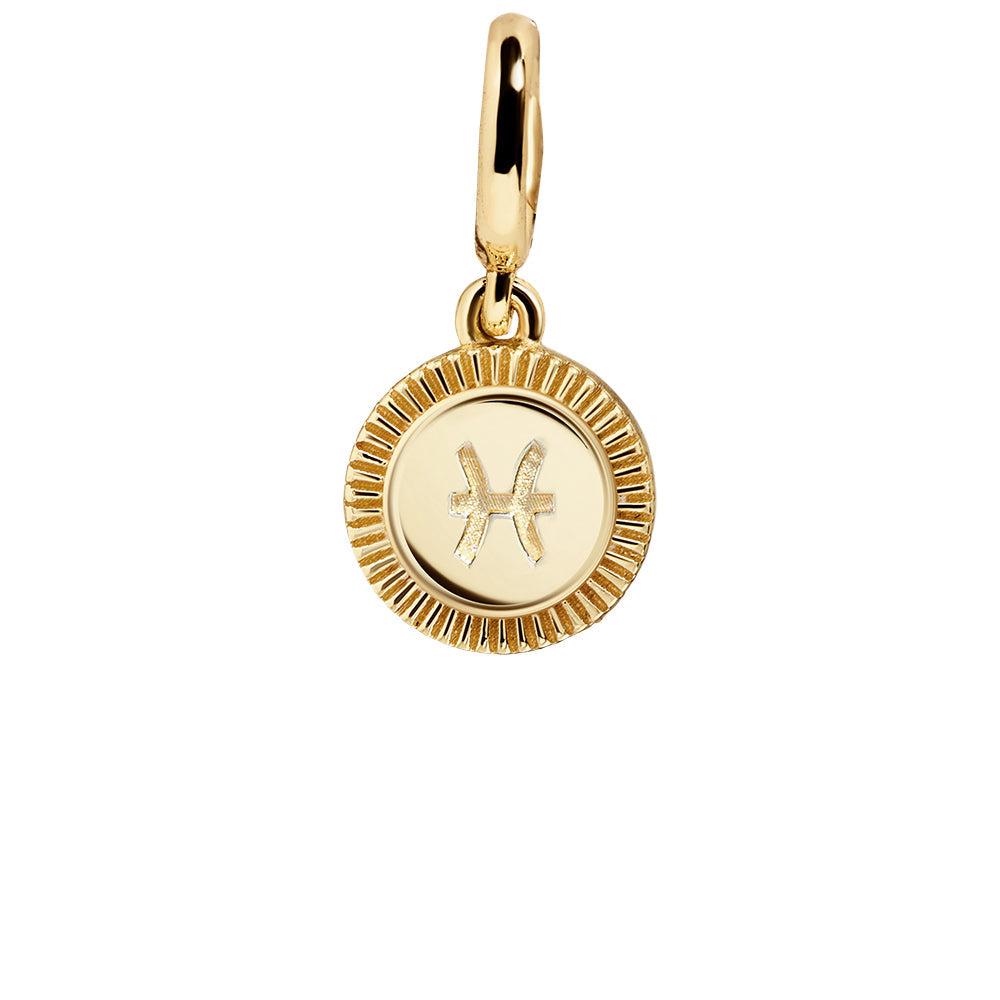 Zodiac Cluster Charm - Pisces