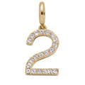 Pavé Number Cluster Charm - 2