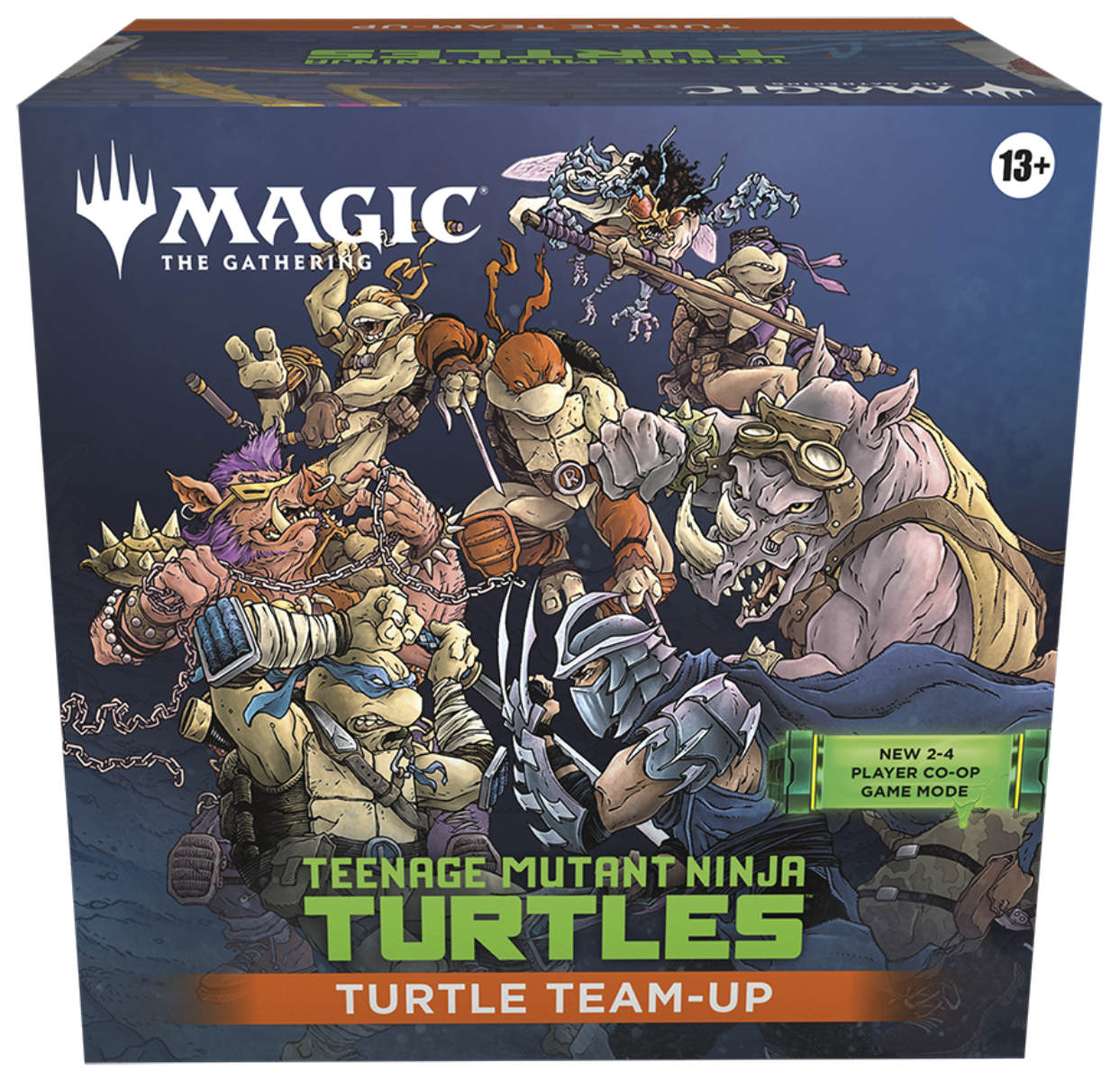 Teenage Mutant Ninja Turtles Team Up
