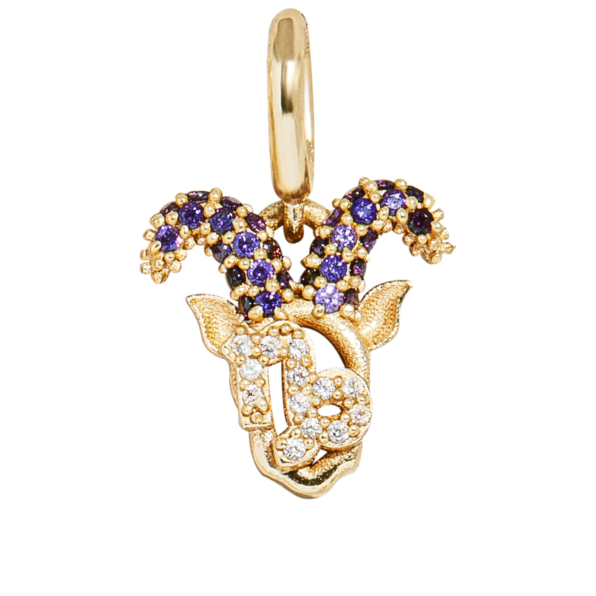 Pavé Zodiac Cluster Charm - Capricorn