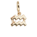 Zodiac Symbol Cluster Charm - Aquarius