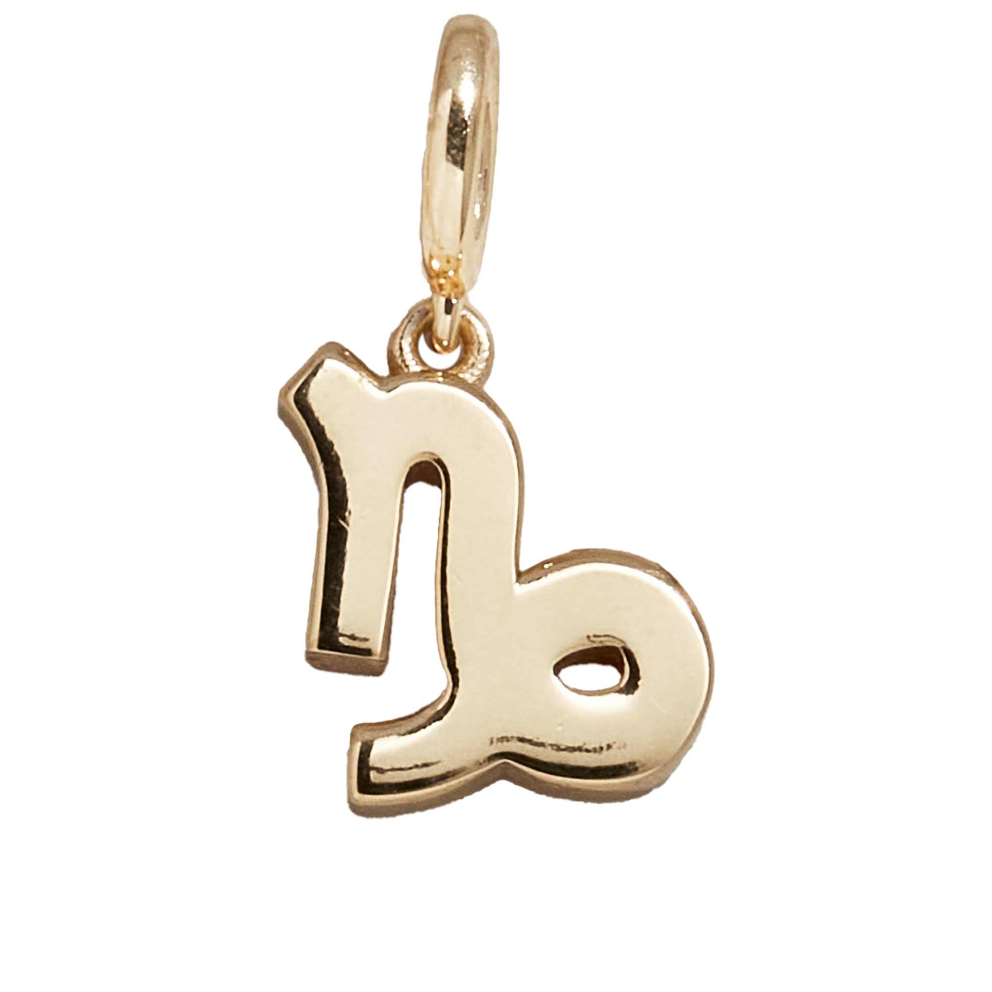 Zodiac Symbol Cluster Charm - Capricorn