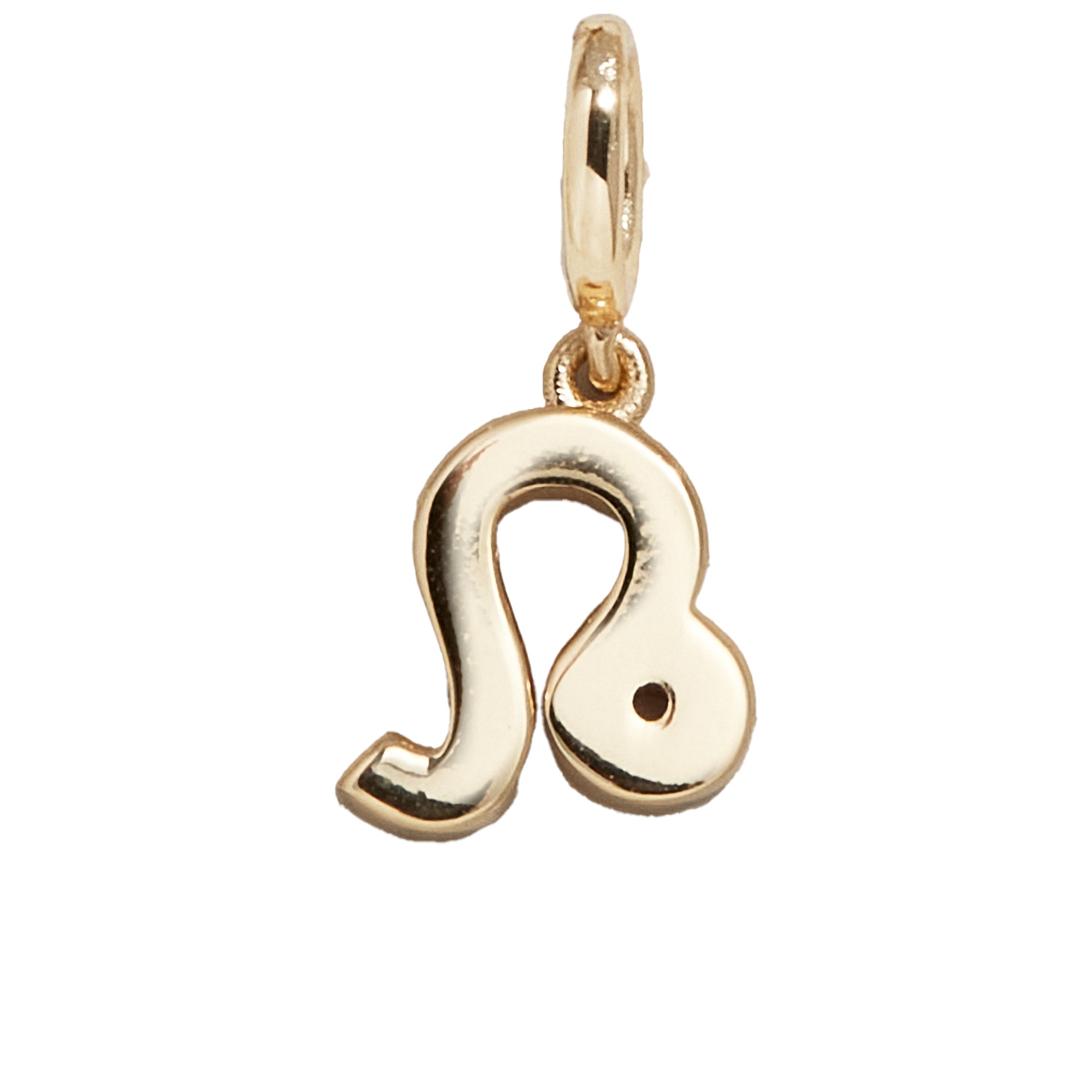 Zodiac Symbol Cluster Charm - Leo