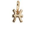 Zodiac Symbol Cluster Charm - Pisces