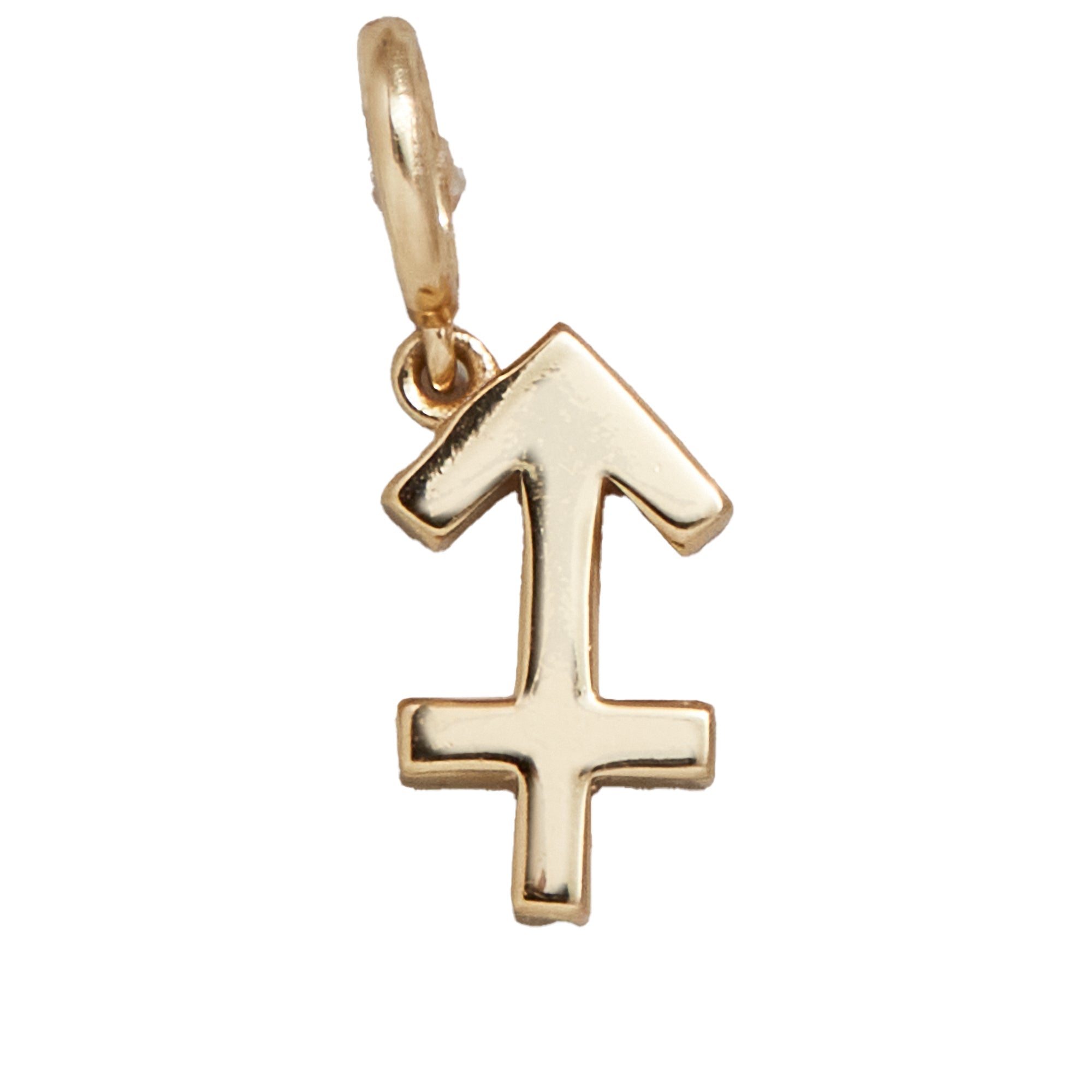 Zodiac Symbol Cluster Charm - Sagittarius