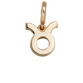 Zodiac Symbol Cluster Charm - Taurus