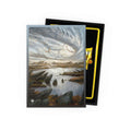 Dragon Shield Game Sleeves 100ct - Matte Dual Marsh Flats MTG Art